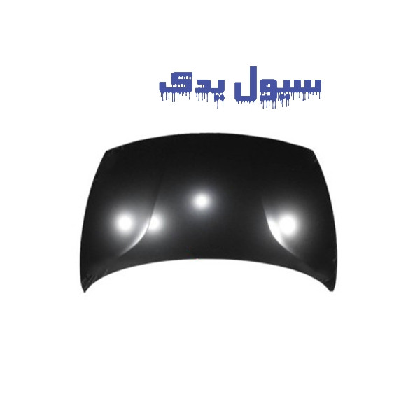 کاپوت ریو مونتاژ (درب موتور)