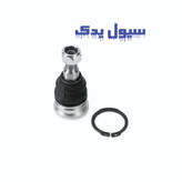 سیبک طبق النترا