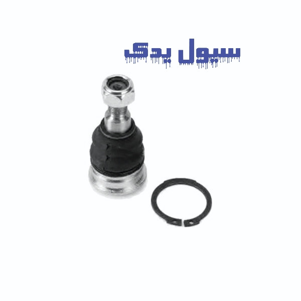 سیبک طبق النترا