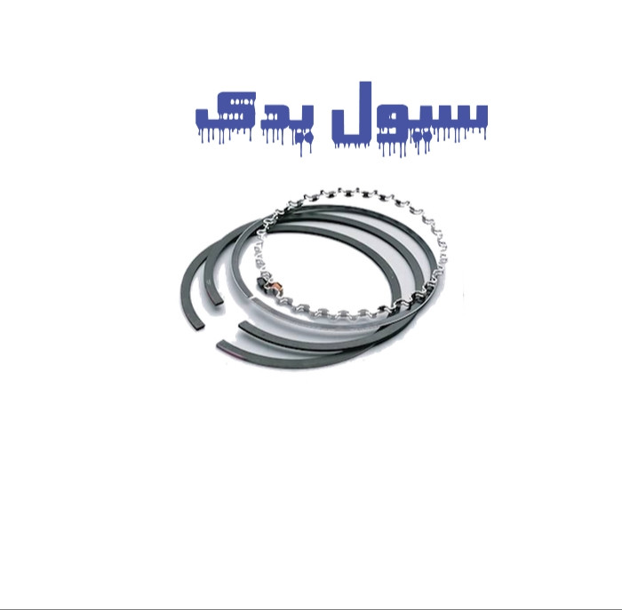 رینگ موتور سانتافه ix45