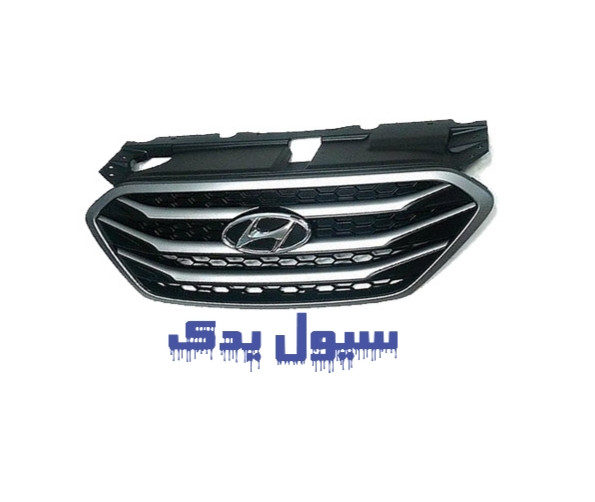 جلو پنجره توسان