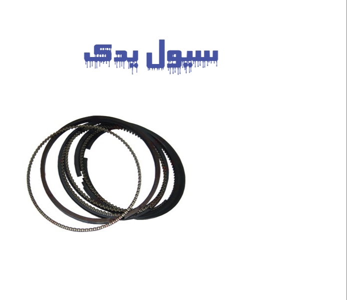 رینگ موتور النترا