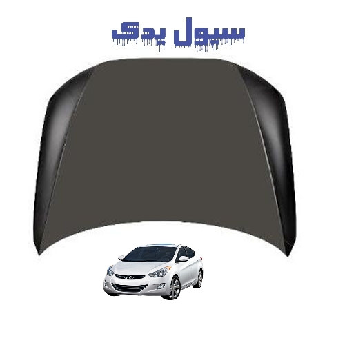 خرید کاپوت النترا 2017