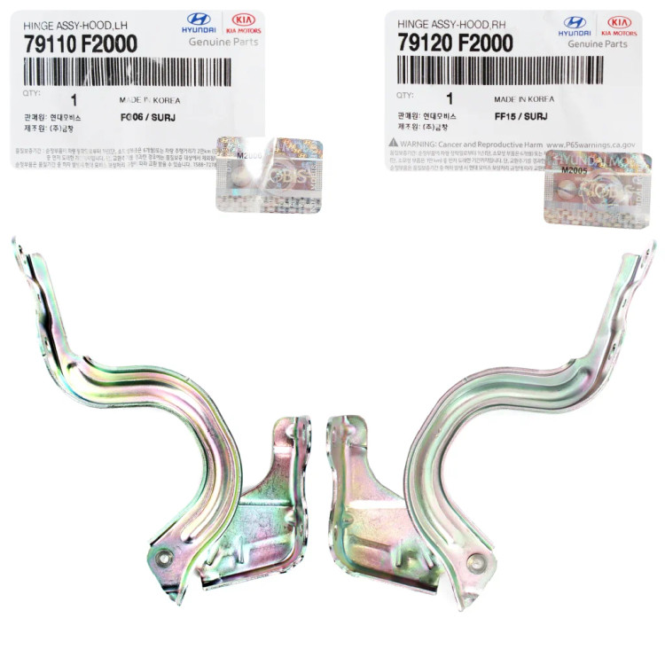 قیمت لولا کاپوت النترا